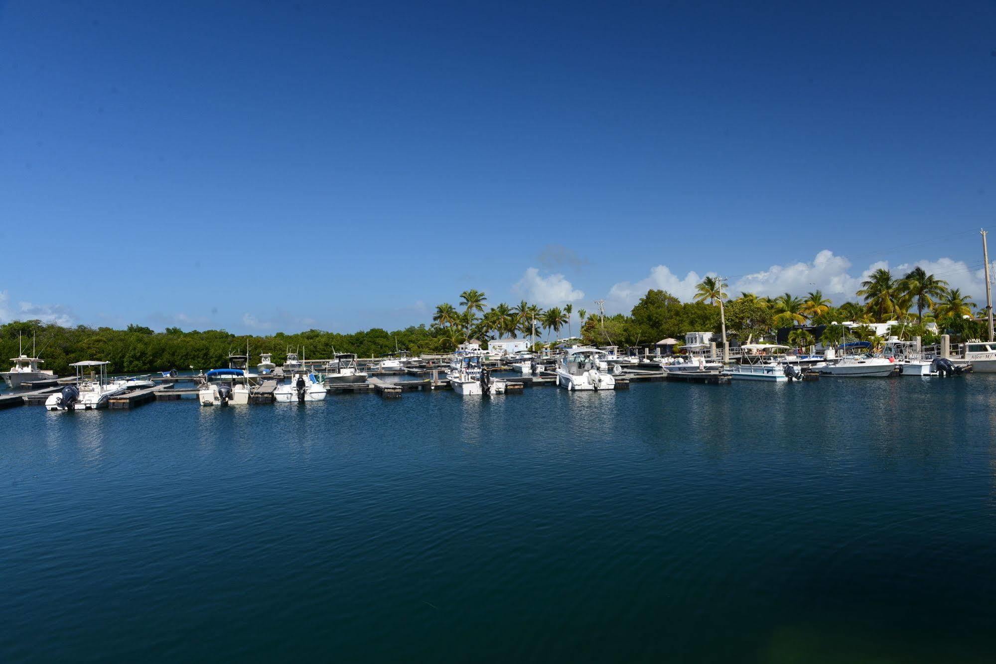 Sunshine Key Rv Resort & Marina Big Pine Key Kültér fotó